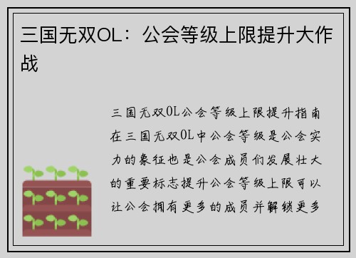 三国无双OL：公会等级上限提升大作战